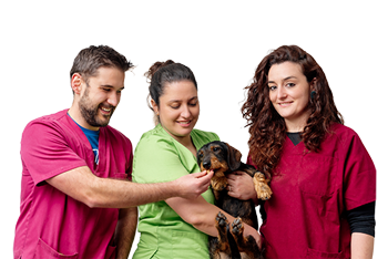 foto-grupo-veterinarios-web-diferentia-comunidad Vet