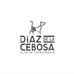 clinica-diaz-de-la-sebosa