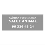 clinica-vet-salut-animal